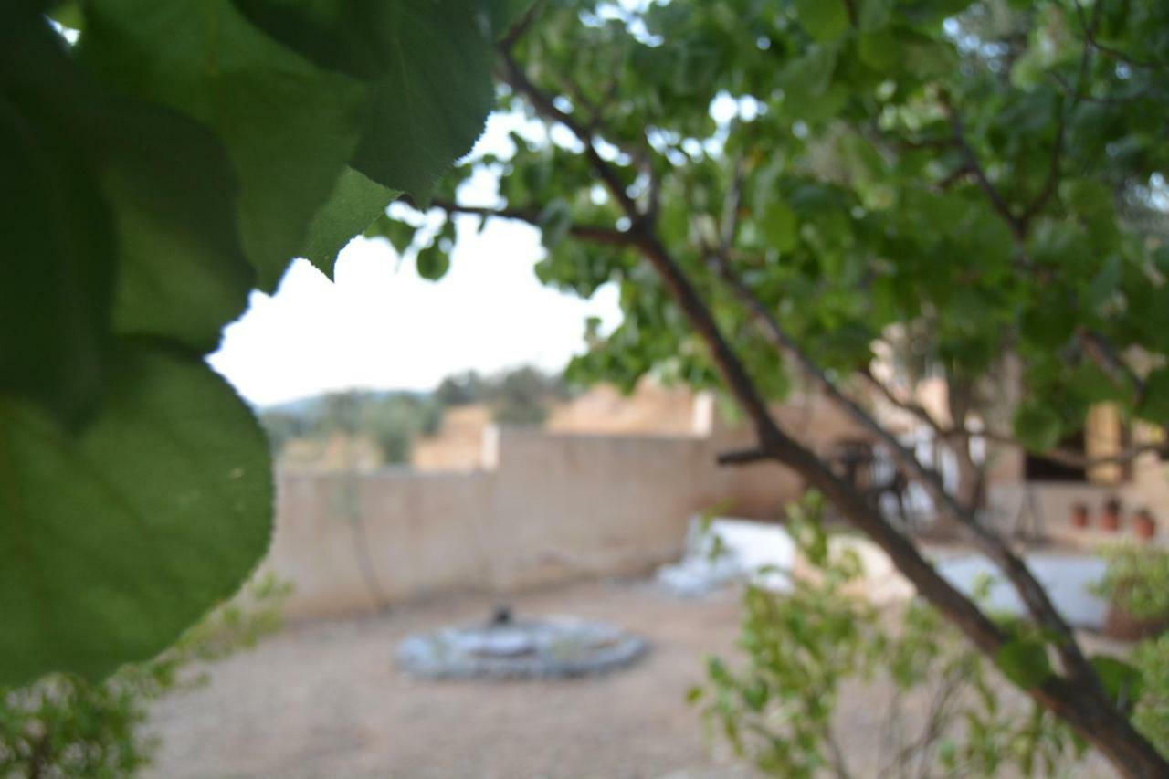 Our Villa'S Private Apartments - Hq Budget Stay - Wonderful Horizon View Of Jerash 杰拉什 外观 照片